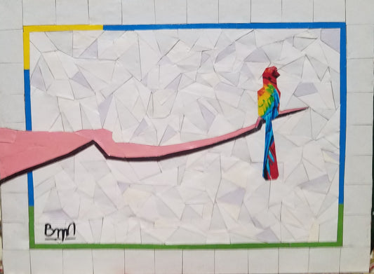 Le petit oiseau de toutes les couleurs